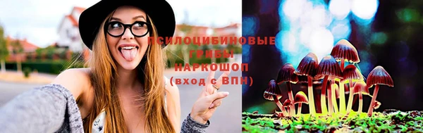 спайс Алзамай
