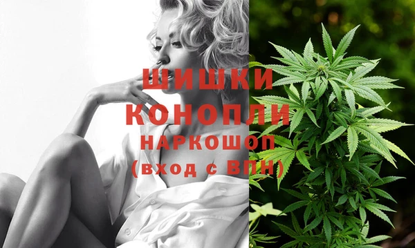 спайс Алзамай
