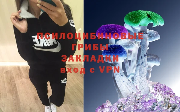 спайс Алзамай