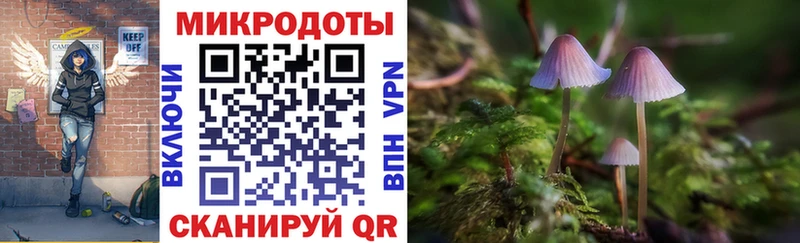 Псилоцибиновые грибы Psilocybe Рубцовск